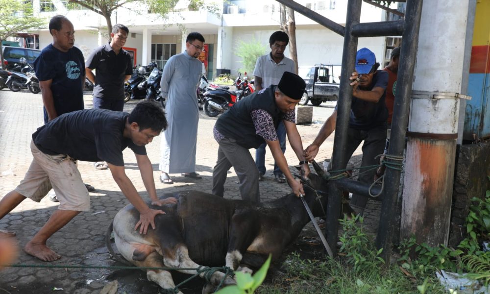 Bapenda Kota Makassar Gelar Penyembelihan Hewan Qurban