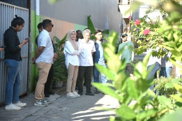 Satu-satunya di Makassar, Tanaman Strawberry Dibudidayakan di Lorong Wisata D-Kelor