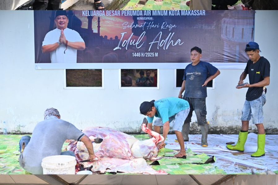 PDAM Makassar Berkurban, 12 Ekor Sapi Disembelih dan Diberikan kepada Panti Asuhan dan Pekerja