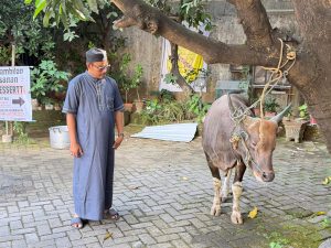 Ajid Said: Dirumah PD Parkir Makassar berkurban satu ekor sapi.